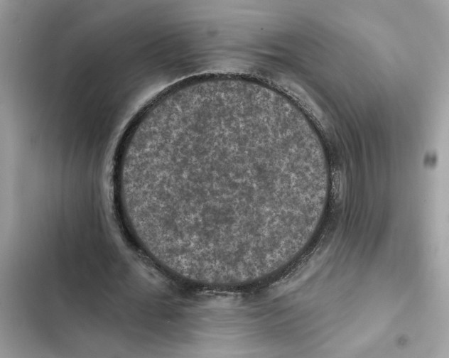 X0000101970676200808151338