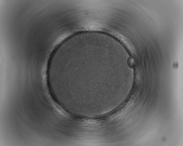 X0000101970677200808151338