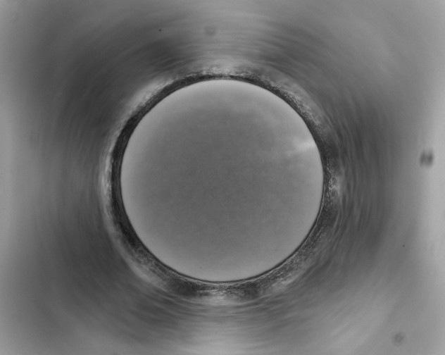 X0000101970678200808151338