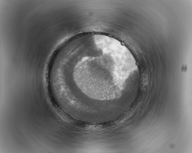 X0000101970680200808151338