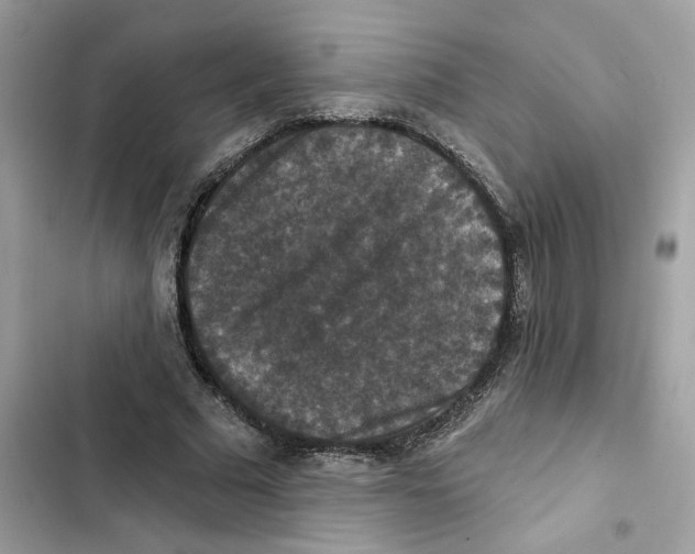 X0000101970681200808151338