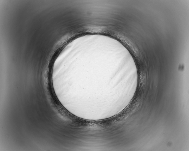 X0000101970682200808151338