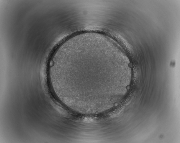 X0000101970684200808151338