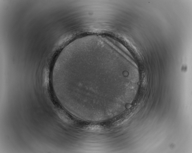 X0000101970685200808151338