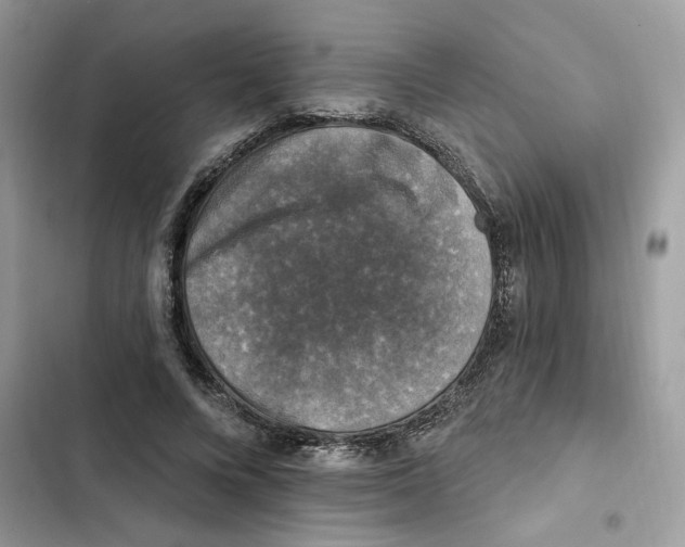 X0000101970688200808151338