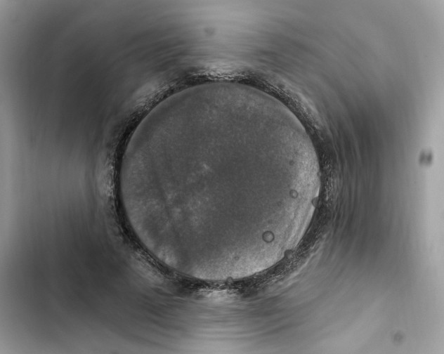 X0000101970689200808151338