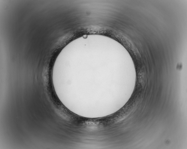 X0000101970690200808151338