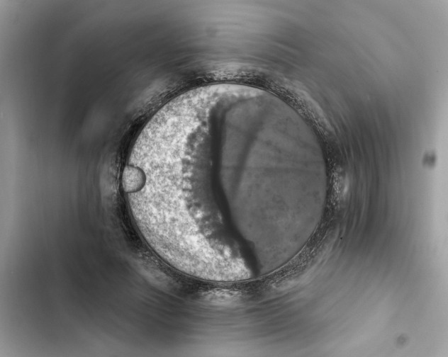 X0000101970691200808151338