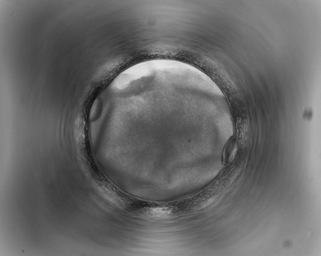 X0000101970692200808151338