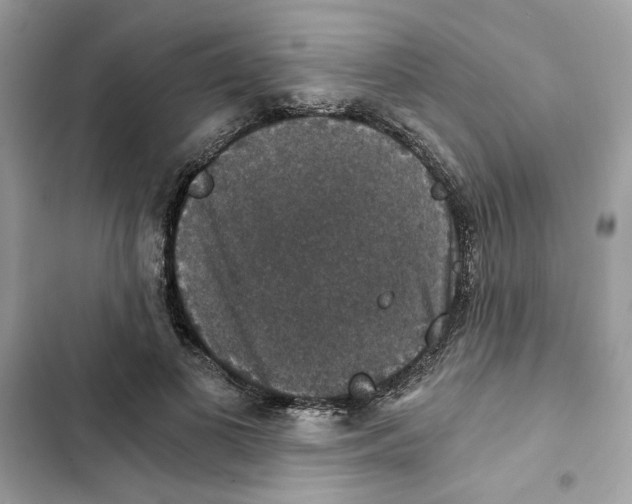 X0000101970693200808151338