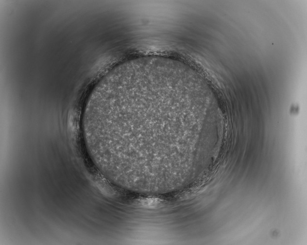 X0000101970695200808151338