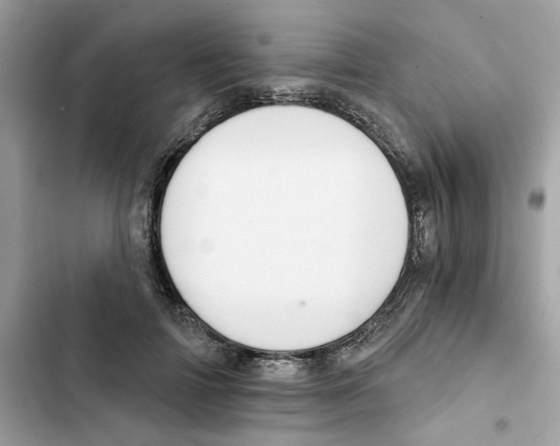 X0000101970698200808151338