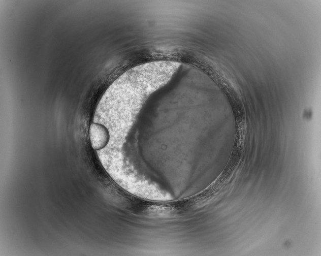 X0000101970699200808151338