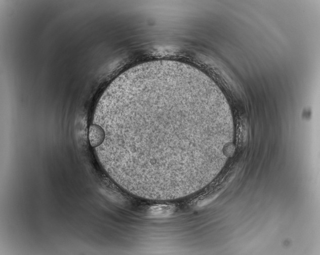 X0000101970700200808151338
