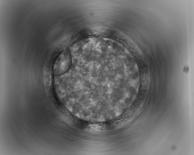 X0000101970703200808151338