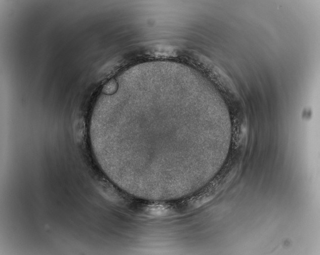 X0000101970704200808151338