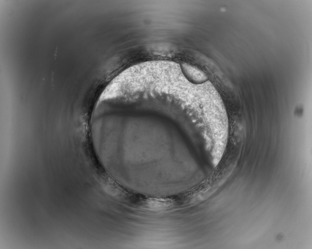 X0000101970707200808151338