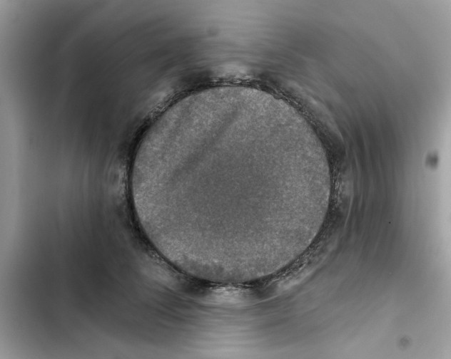 X0000101970708200808151338