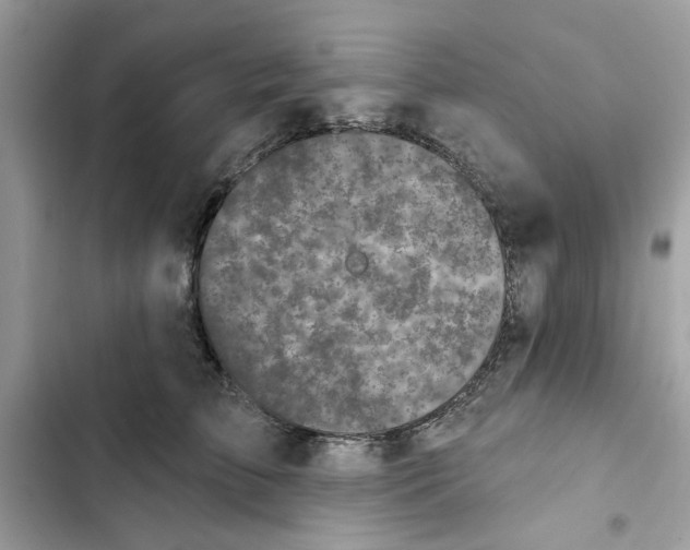 X0000101970709200808151338