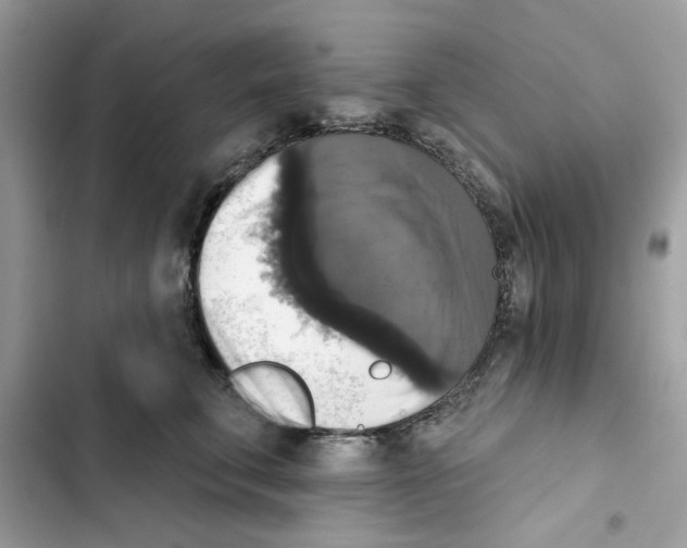 X0000101970711200808151338