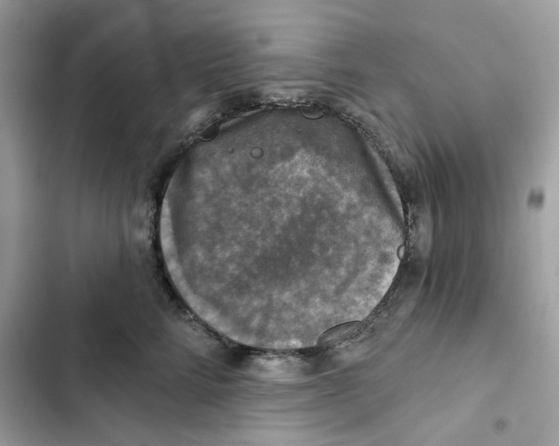 X0000101970712200808151338