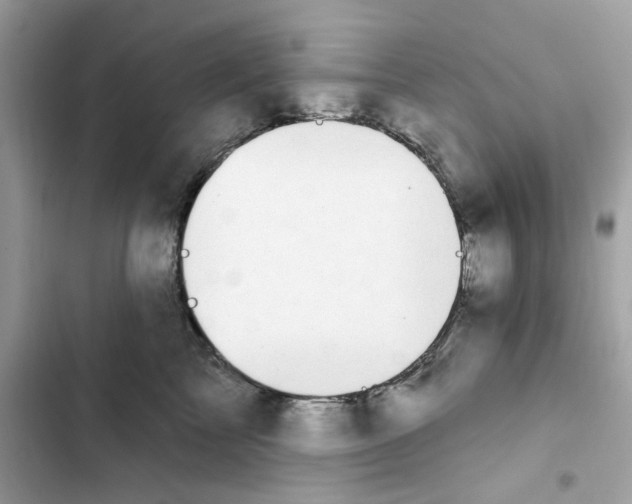 X0000101970713200808151338
