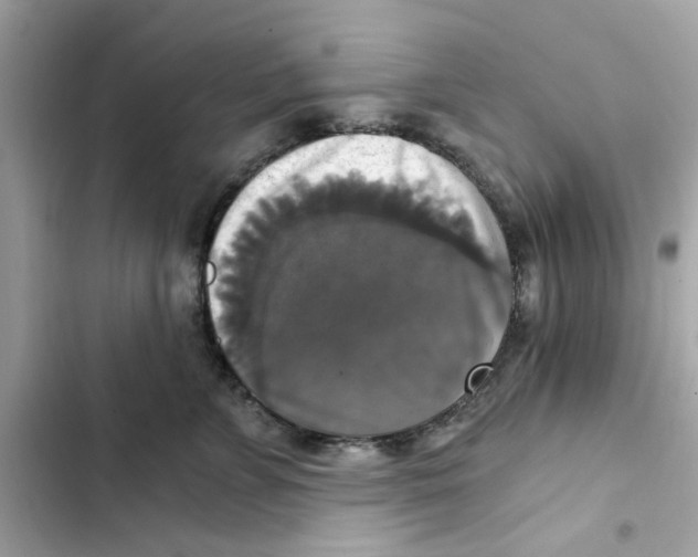 X0000101970715200808151338