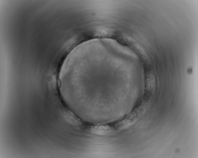 X0000101970716200808151338