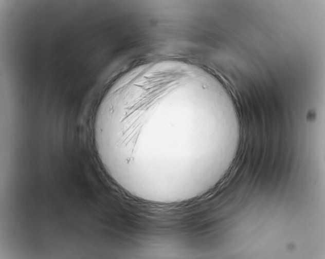 X0000101970717200808151338