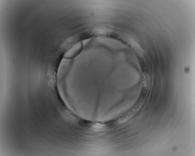 X0000101970718200808151338