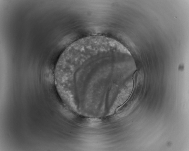 X0000101970719200808151338