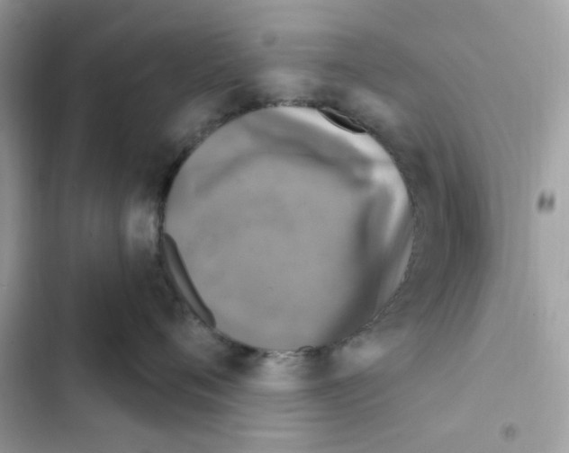 X0000101970720200808151338