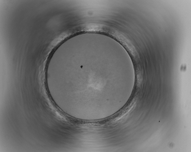 X0000101970721200808151337