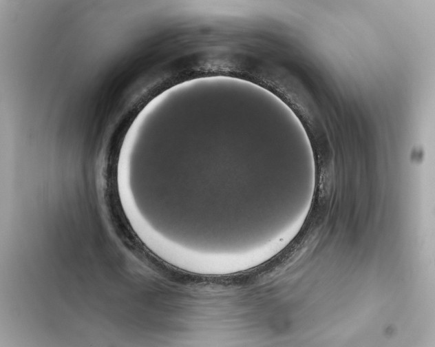 X0000101970722200808151337