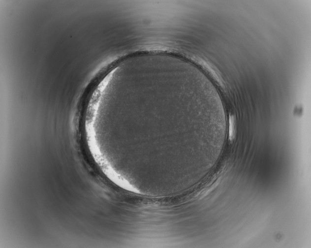 X0000101970723200808151337