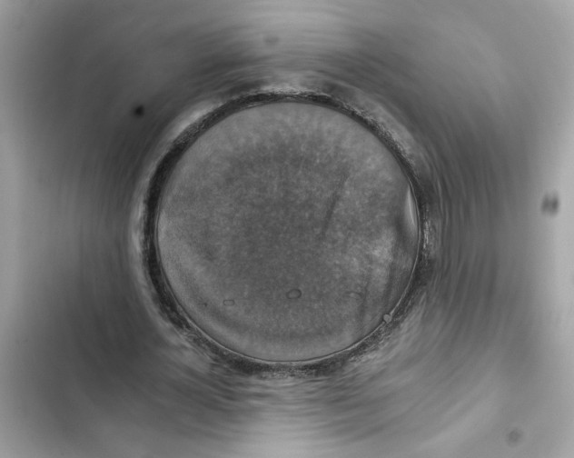 X0000101970724200808151337