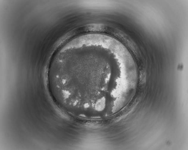 X0000101970725200808151337
