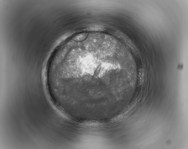 X0000101970726200808151337