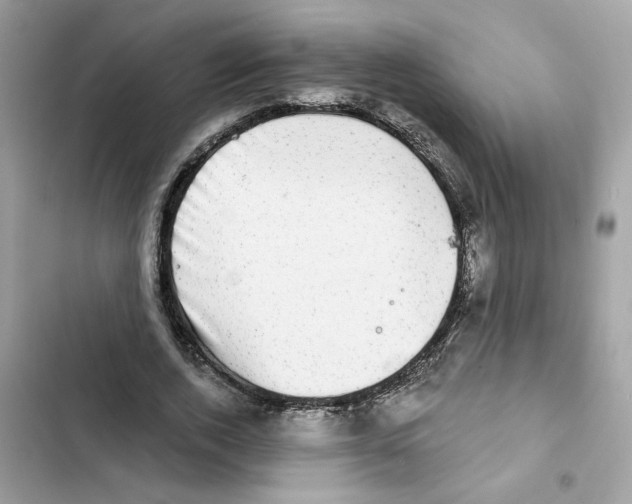 X0000101970728200808151337