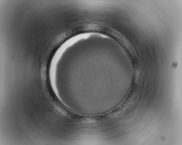 X0000101970729200808151337