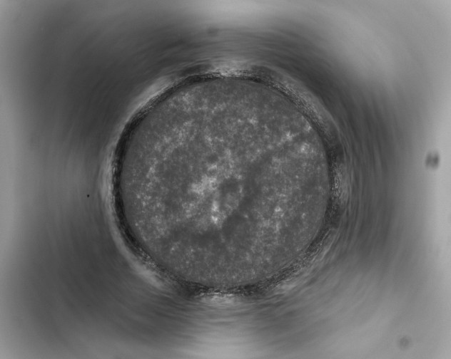 X0000101970730200808151337