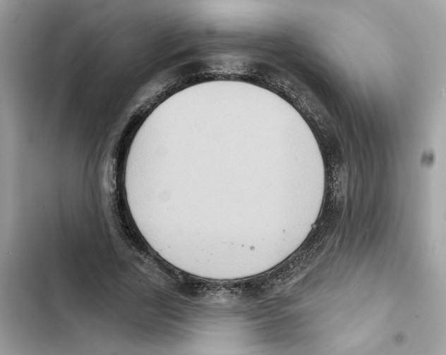 X0000101970731200808151337