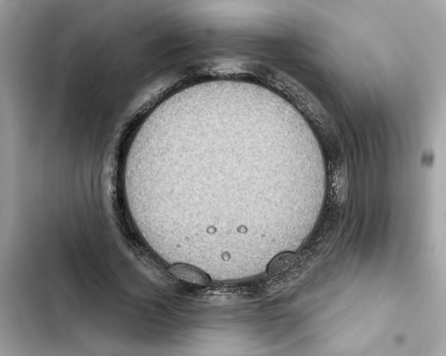 X0000101970732200808151337
