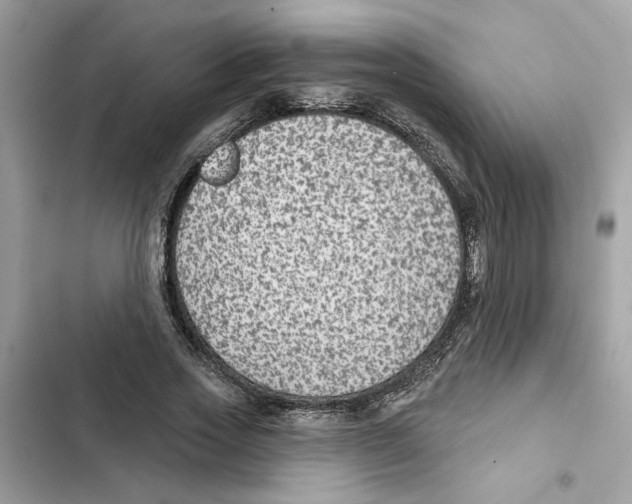 X0000101970733200808151337