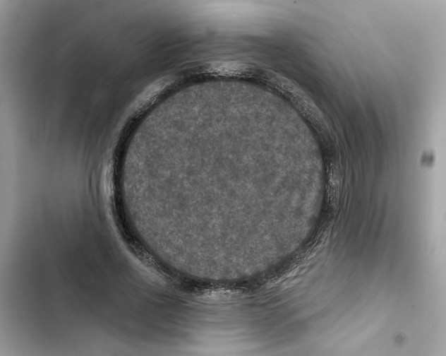 X0000101970734200808151337