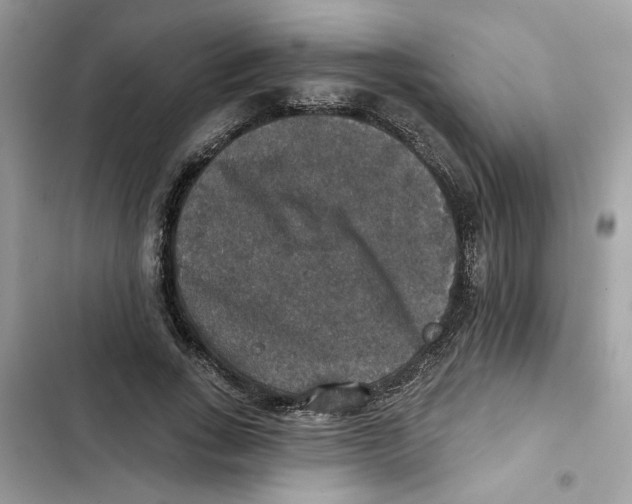 X0000101970735200808151337