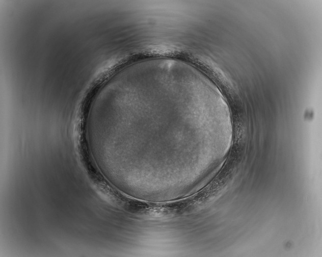 X0000101970736200808151337