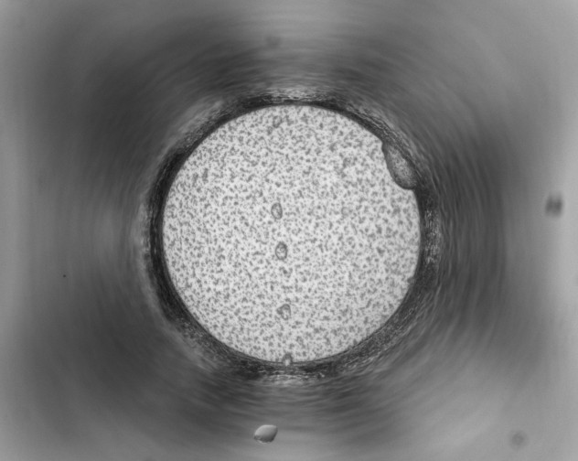 X0000101970738200808151337