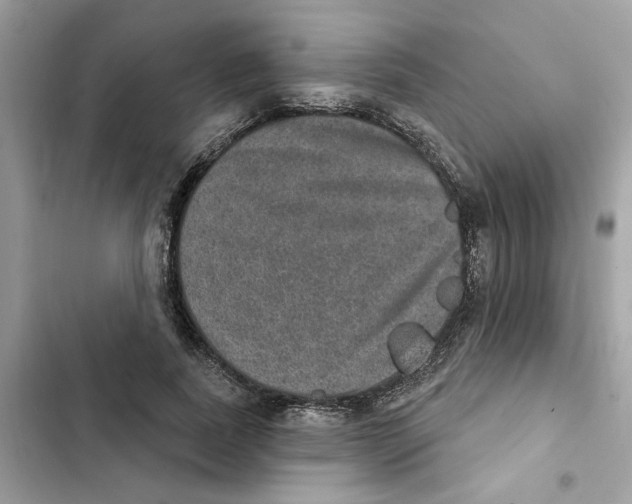 X0000101970739200808151337