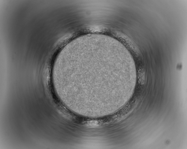 X0000101970740200808151337